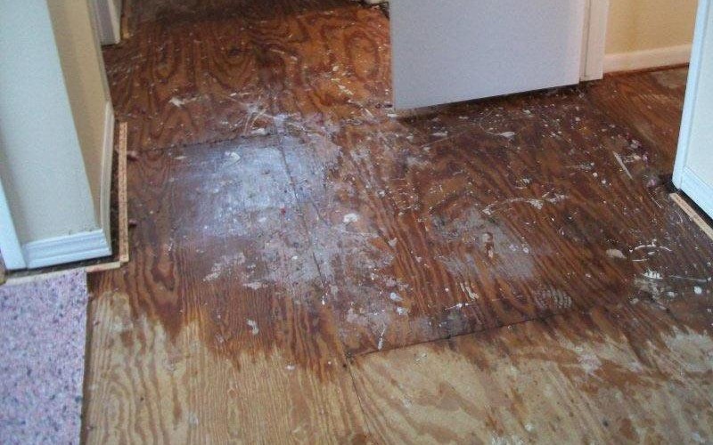 Water damage in Port St Lucie